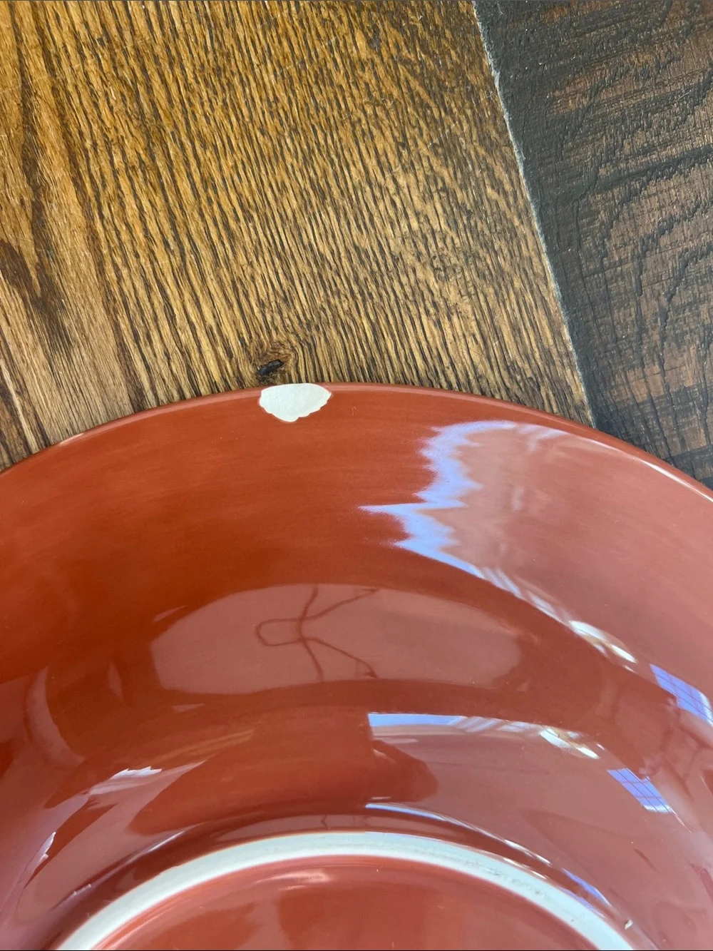 Pottery Barn Terracotta Orange Glazed Sausalito Ceramic Dinner plates - Set of 4